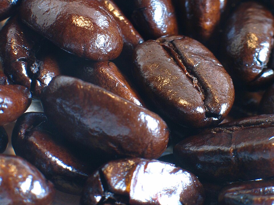 Kopi Gayo Arabica